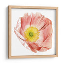 Market Poppy Ii - Grace Popp | Cuadro decorativo de Canvas Lab