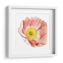 Market Poppy Ii - Grace Popp | Cuadro decorativo de Canvas Lab
