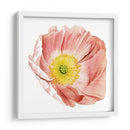 Market Poppy Ii - Grace Popp | Cuadro decorativo de Canvas Lab