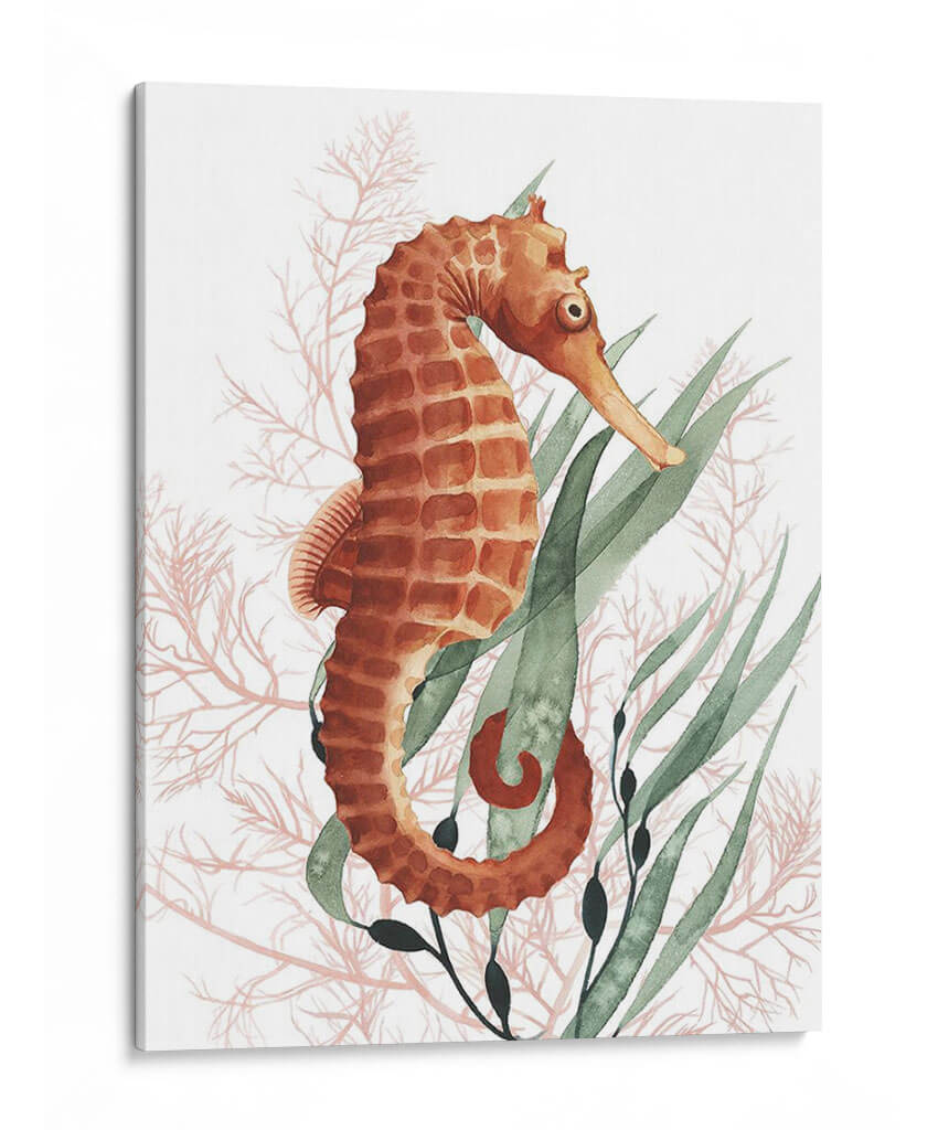 Tesoros Del Caballito De Mar I - Grace Popp | Cuadro decorativo de Canvas Lab