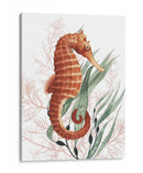 Tesoros Del Caballito De Mar I - Grace Popp | Cuadro decorativo de Canvas Lab