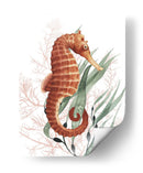 Tesoros Del Caballito De Mar I - Grace Popp | Cuadro decorativo de Canvas Lab