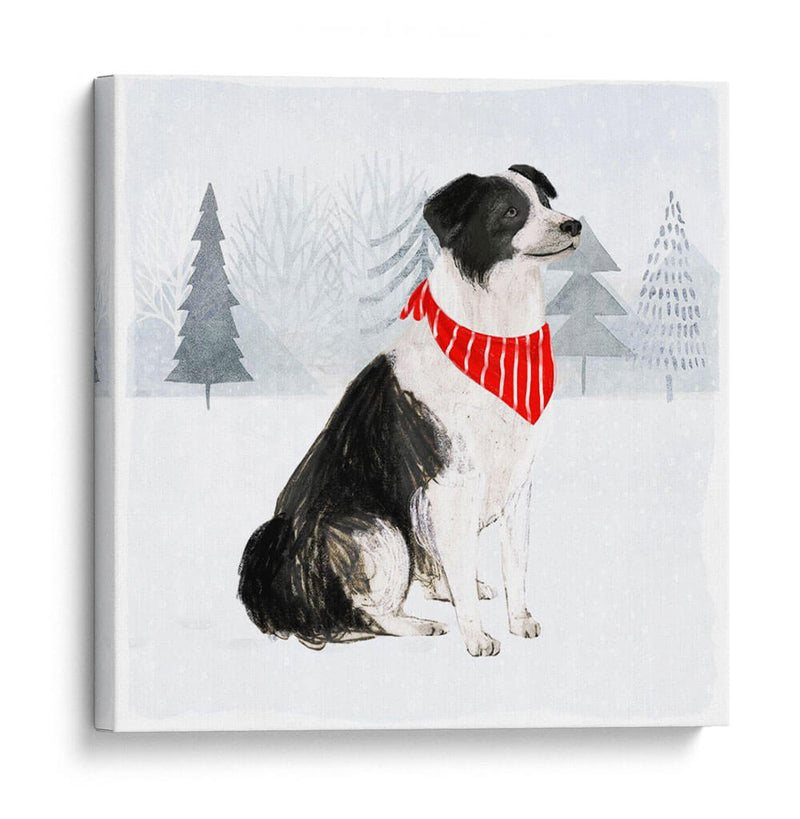 Gatos Y Perros De Navidad Ii - Victoria Borges | Cuadro decorativo de Canvas Lab