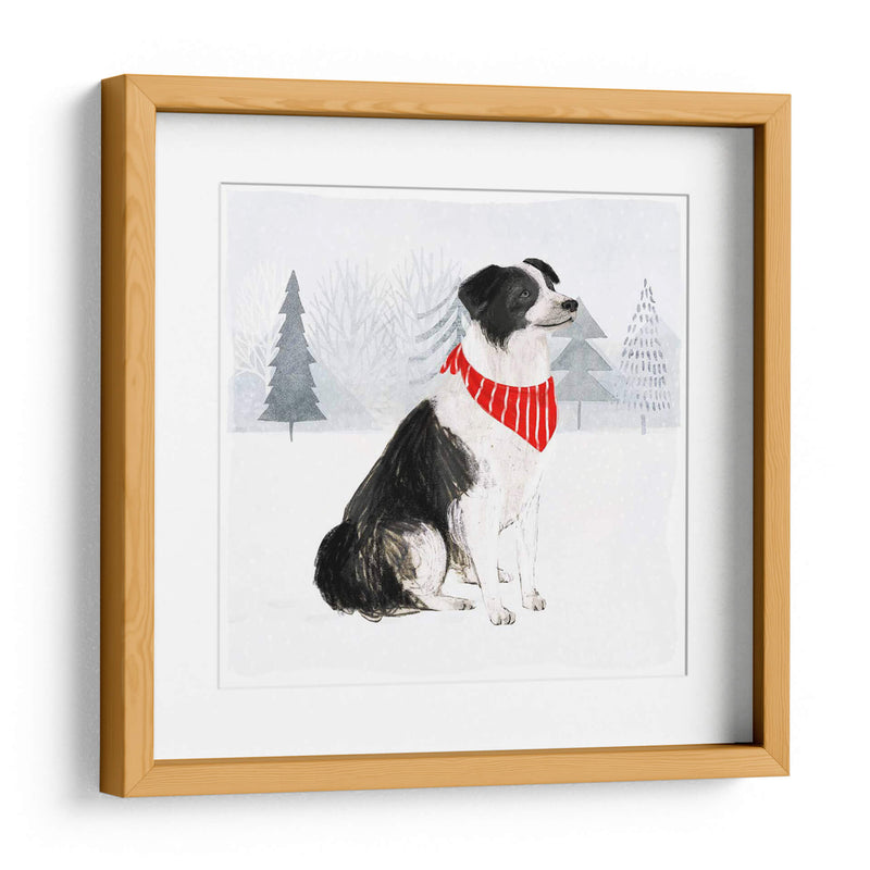 Gatos Y Perros De Navidad Ii - Victoria Borges | Cuadro decorativo de Canvas Lab