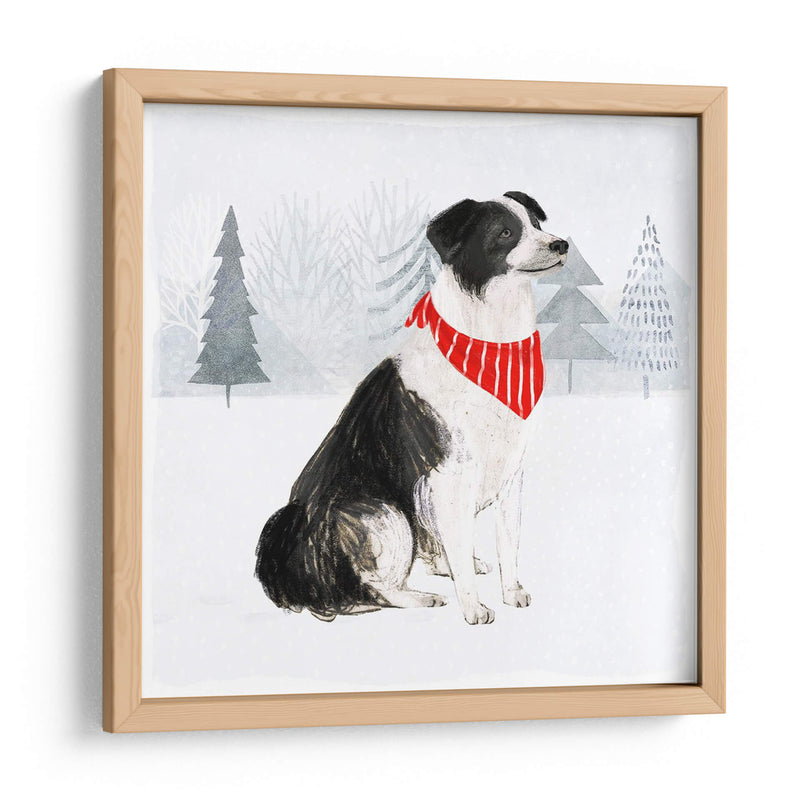 Gatos Y Perros De Navidad Ii - Victoria Borges | Cuadro decorativo de Canvas Lab