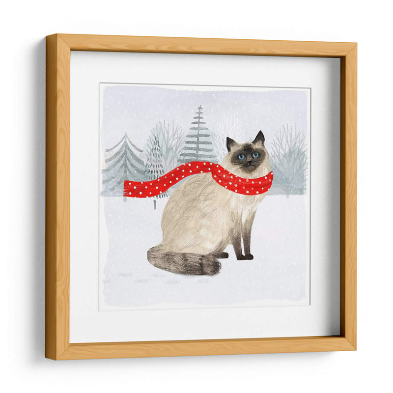 Gatos Y Perros De Navidad Iii - Victoria Borges | Cuadro decorativo de Canvas Lab