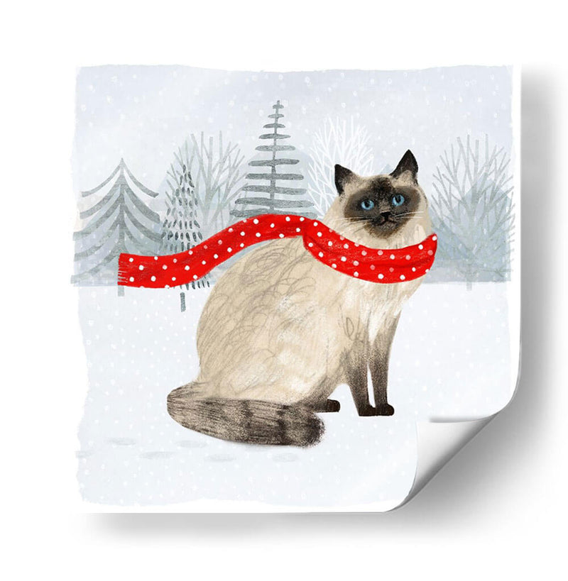 Gatos Y Perros De Navidad Iii - Victoria Borges | Cuadro decorativo de Canvas Lab