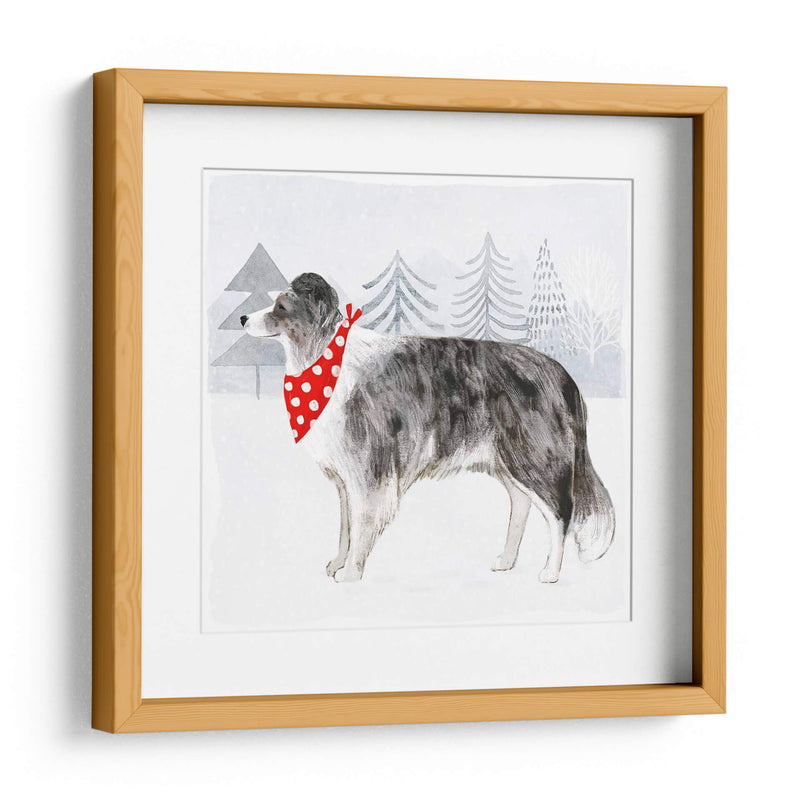 Gatos Y Perros De Navidad Iv - Victoria Borges | Cuadro decorativo de Canvas Lab