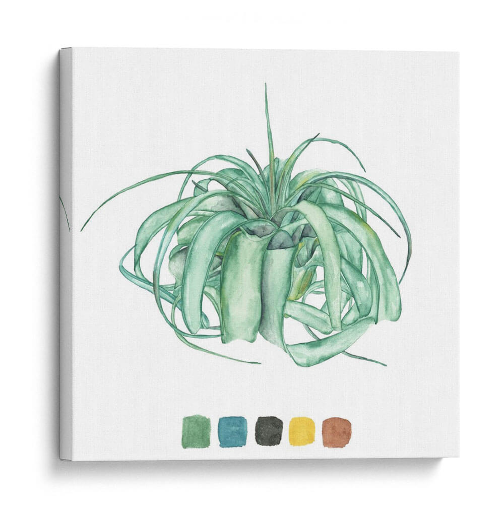 Estudio De La Planta Aérea I - Melissa Wang | Cuadro decorativo de Canvas Lab