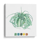 Estudio De La Planta Aérea I - Melissa Wang | Cuadro decorativo de Canvas Lab