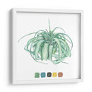 Estudio De La Planta Aérea I - Melissa Wang | Cuadro decorativo de Canvas Lab