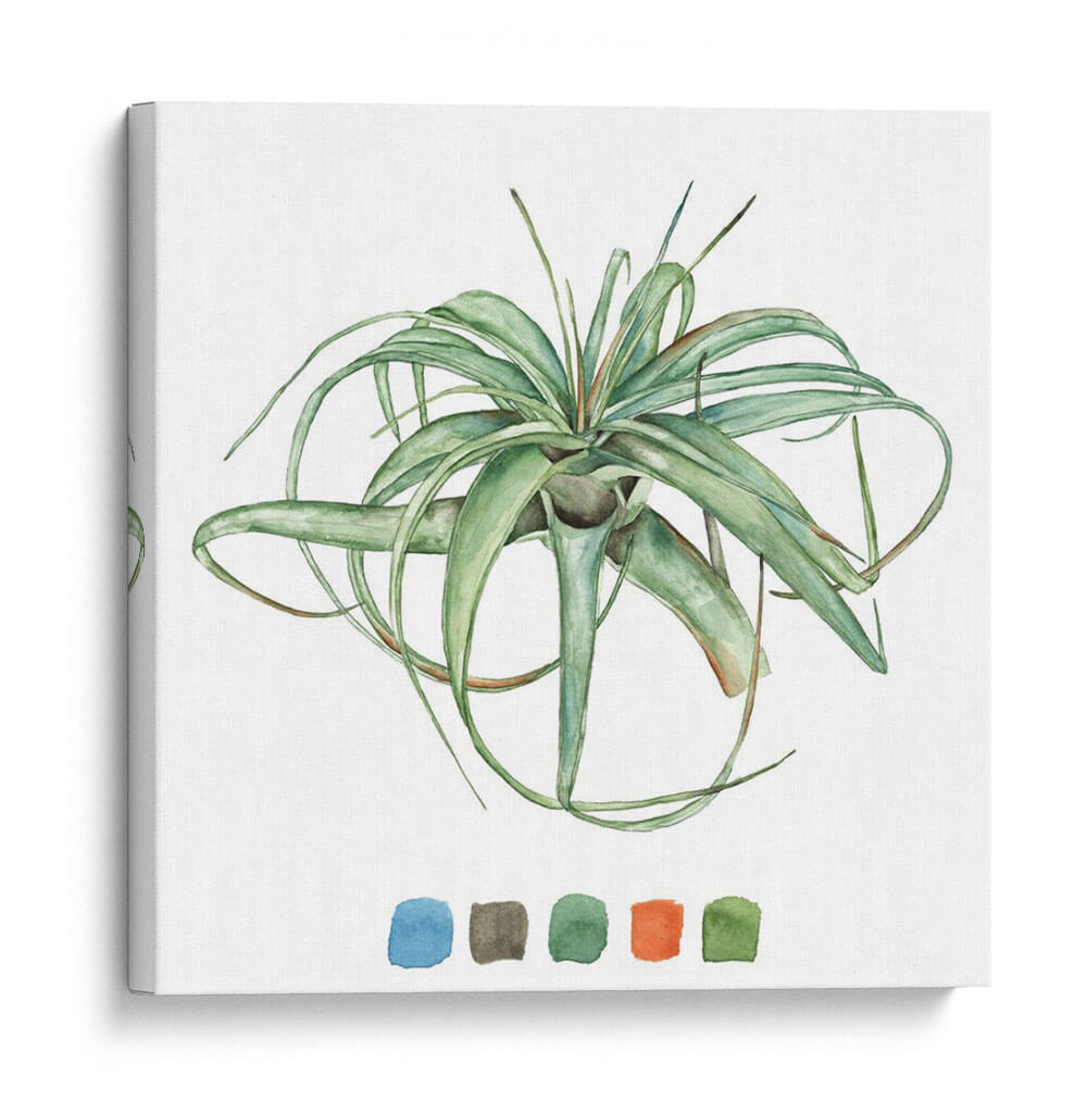 Estudio De La Planta Aérea Iii - Melissa Wang | Cuadro decorativo de Canvas Lab