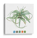 Estudio De La Planta Aérea Iii - Melissa Wang | Cuadro decorativo de Canvas Lab