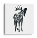 Wise Walker Iv - Grace Popp | Cuadro decorativo de Canvas Lab