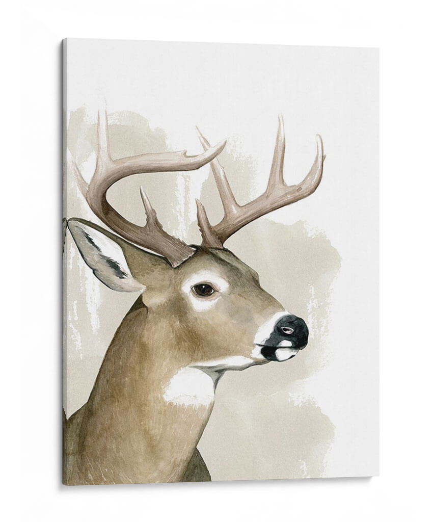 Amigo De Timberland I - Grace Popp | Cuadro decorativo de Canvas Lab