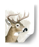 Amigo De Timberland I - Grace Popp | Cuadro decorativo de Canvas Lab