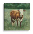 Hereford Ganado Yo - Emma Scarvey | Cuadro decorativo de Canvas Lab