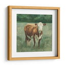 Hereford Ganado Yo - Emma Scarvey | Cuadro decorativo de Canvas Lab