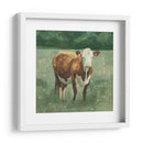 Hereford Ganado Yo - Emma Scarvey | Cuadro decorativo de Canvas Lab