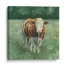 Hereford Ganado Ii - Emma Scarvey | Cuadro decorativo de Canvas Lab