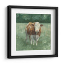 Hereford Ganado Ii - Emma Scarvey | Cuadro decorativo de Canvas Lab