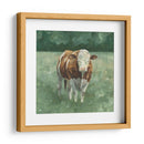 Hereford Ganado Ii - Emma Scarvey | Cuadro decorativo de Canvas Lab