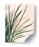 Frond Impression Ii - Emma Scarvey | Cuadro decorativo de Canvas Lab