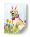 Puppy Pascua I - Grace Popp | Cuadro decorativo de Canvas Lab