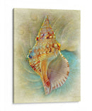 Aquatica I - Steve Hunziker | Cuadro decorativo de Canvas Lab