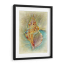 Aquatica I - Steve Hunziker | Cuadro decorativo de Canvas Lab