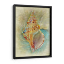 Aquatica I - Steve Hunziker | Cuadro decorativo de Canvas Lab