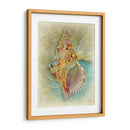 Aquatica I - Steve Hunziker | Cuadro decorativo de Canvas Lab