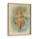 Aquatica I - Steve Hunziker | Cuadro decorativo de Canvas Lab