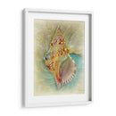 Aquatica I - Steve Hunziker | Cuadro decorativo de Canvas Lab
