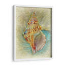 Aquatica I - Steve Hunziker | Cuadro decorativo de Canvas Lab