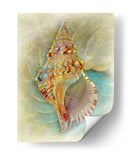 Aquatica I - Steve Hunziker | Cuadro decorativo de Canvas Lab