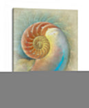 Aquatica Ii - Steve Hunziker | Cuadro decorativo de Canvas Lab