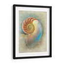 Aquatica Ii - Steve Hunziker | Cuadro decorativo de Canvas Lab