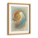 Aquatica Ii - Steve Hunziker | Cuadro decorativo de Canvas Lab