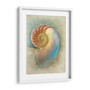 Aquatica Ii - Steve Hunziker | Cuadro decorativo de Canvas Lab