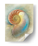Aquatica Ii - Steve Hunziker | Cuadro decorativo de Canvas Lab