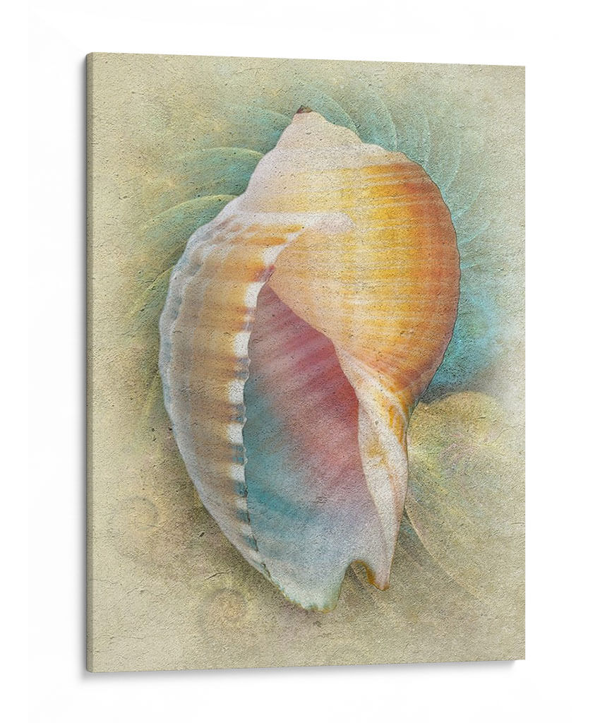 Aquatica Iii - Steve Hunziker | Cuadro decorativo de Canvas Lab