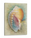 Aquatica Iii - Steve Hunziker | Cuadro decorativo de Canvas Lab