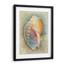 Aquatica Iii - Steve Hunziker | Cuadro decorativo de Canvas Lab