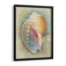 Aquatica Iii - Steve Hunziker | Cuadro decorativo de Canvas Lab