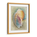 Aquatica Iii - Steve Hunziker | Cuadro decorativo de Canvas Lab
