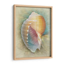 Aquatica Iii - Steve Hunziker | Cuadro decorativo de Canvas Lab