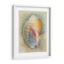 Aquatica Iii - Steve Hunziker | Cuadro decorativo de Canvas Lab