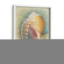 Aquatica Iii - Steve Hunziker | Cuadro decorativo de Canvas Lab