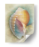 Aquatica Iii - Steve Hunziker | Cuadro decorativo de Canvas Lab